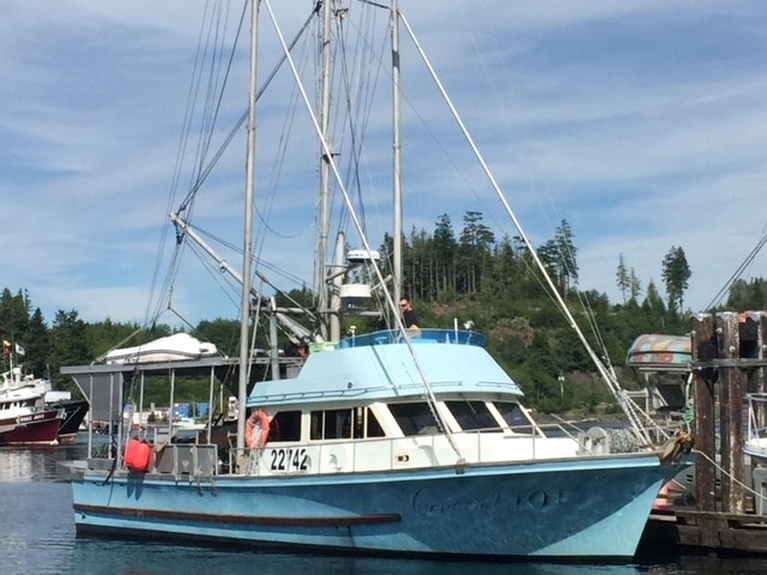 commercial boat for sale