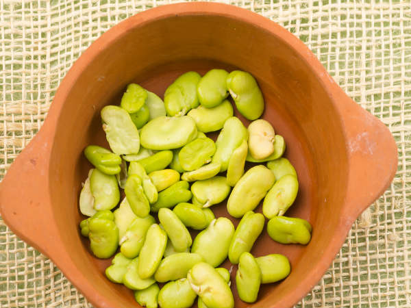 lima beans meaning in hindi