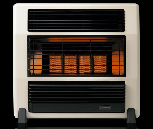 everdure gas heater service near me