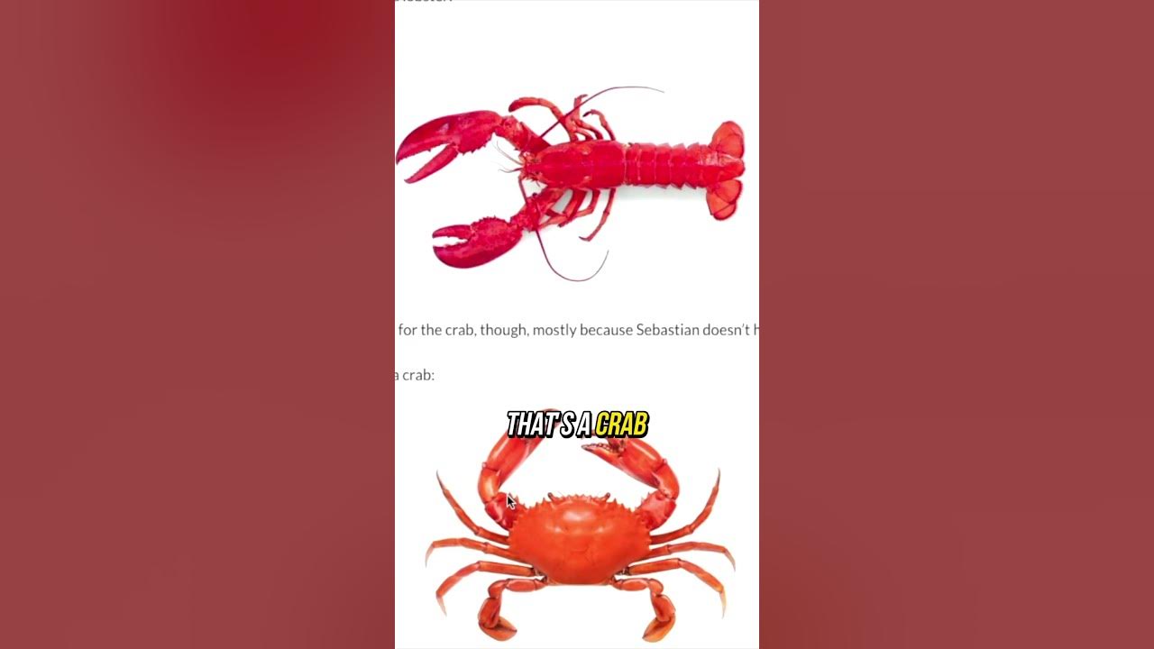 is sebastian a lobster or crab