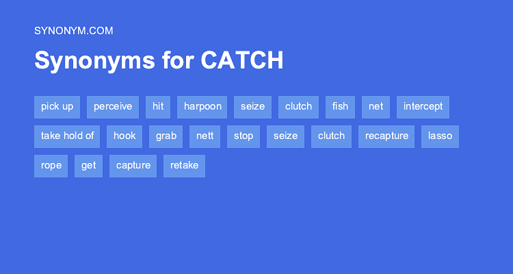 catch up synonym