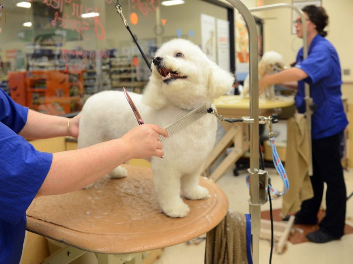 petsmart grooming