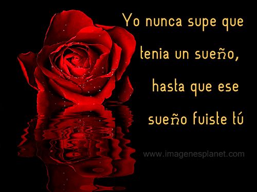 imagenes de flores animadas con frases bonitas