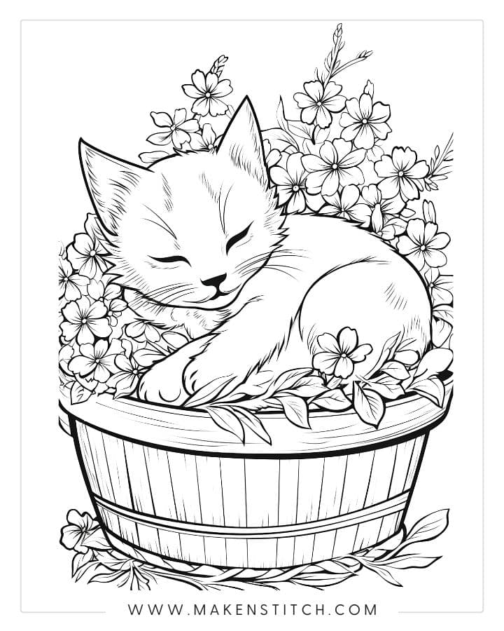 kitten coloring pages