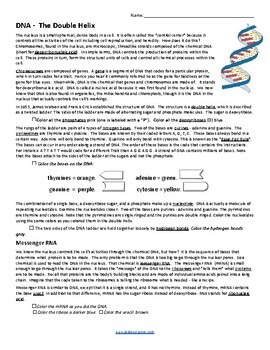 dna the double helix worksheet answer key