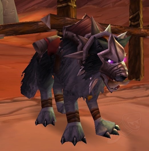 lobo de orgrimmar