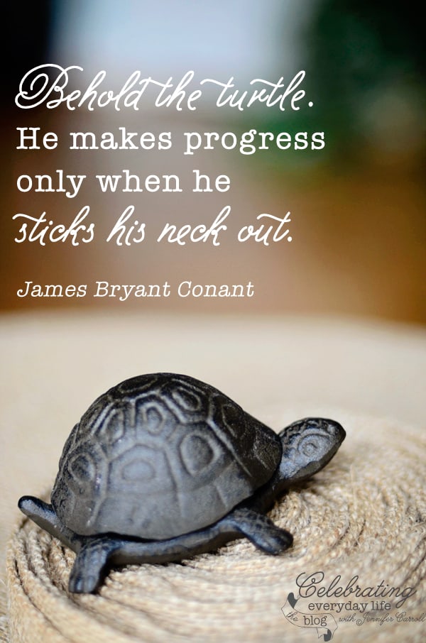 funny turtle quotes
