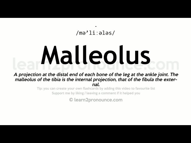 pronunciation of malleolus