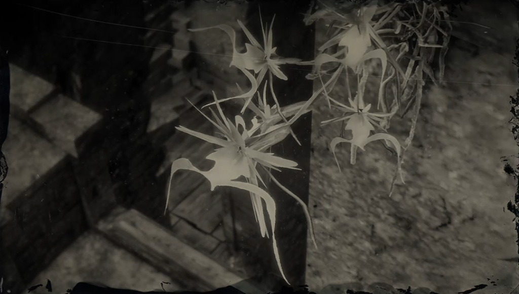 rdr2 ghost orchid