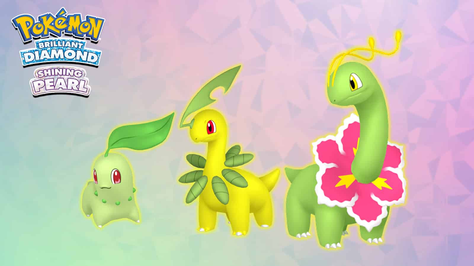 chikorita evolve