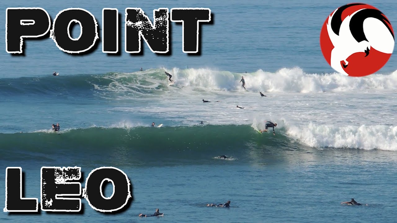 pt leo surf report