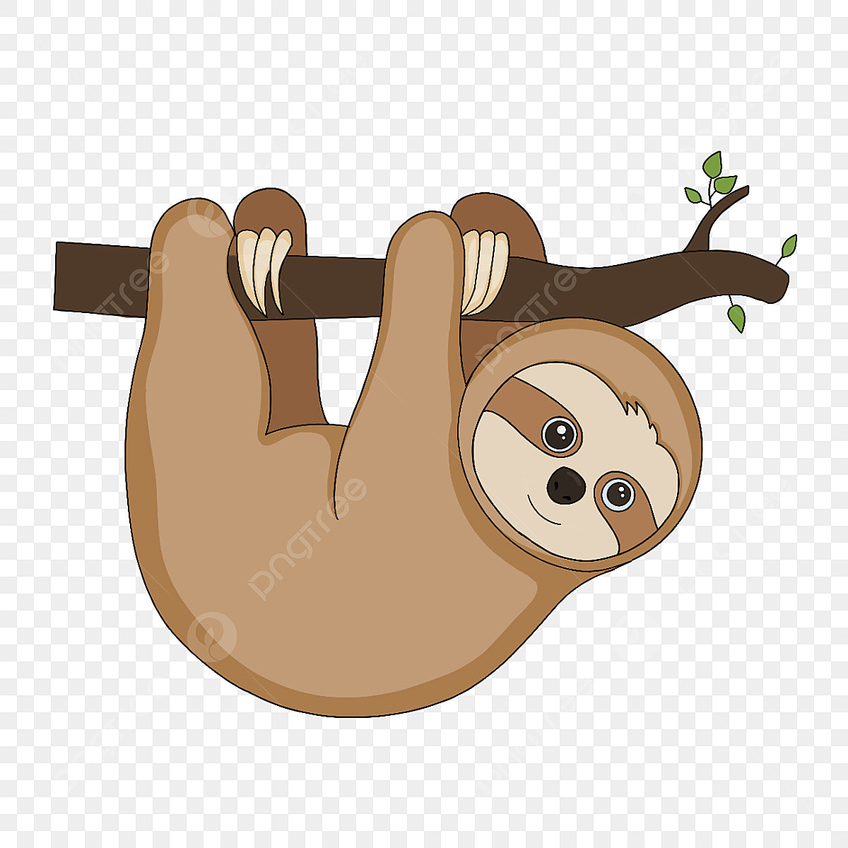 sloth clipart