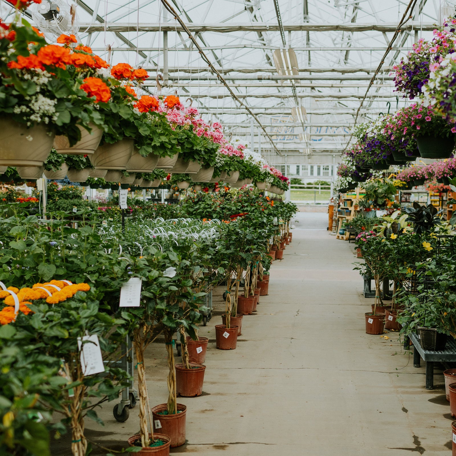 lowes garden center near me