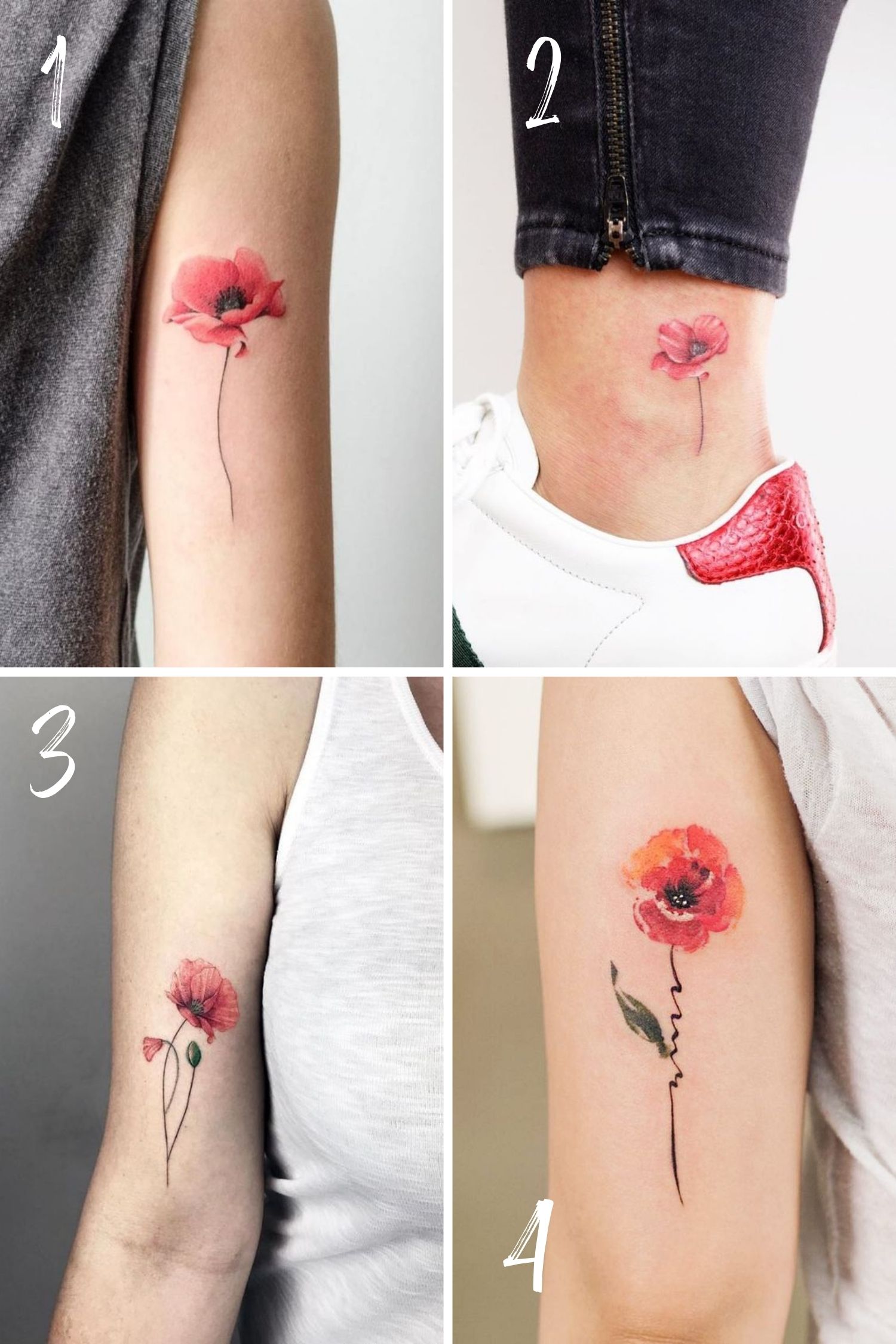 tiny poppy tattoo