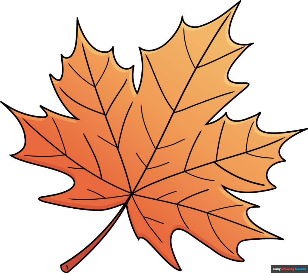 draw a maple leaf