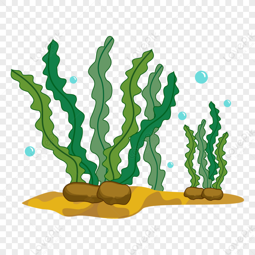 seaweed clipart