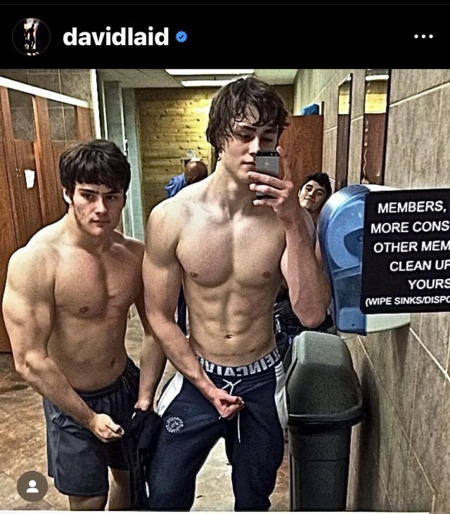 david laid steroids