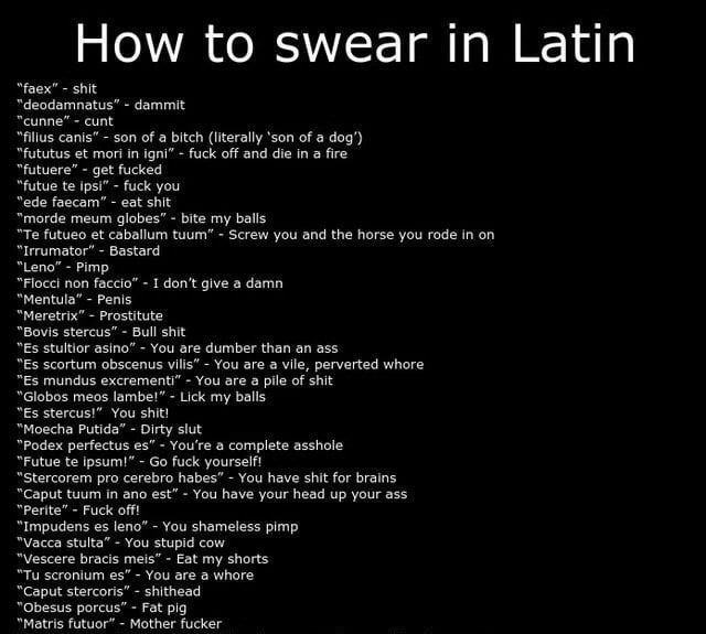 fuck you in latin