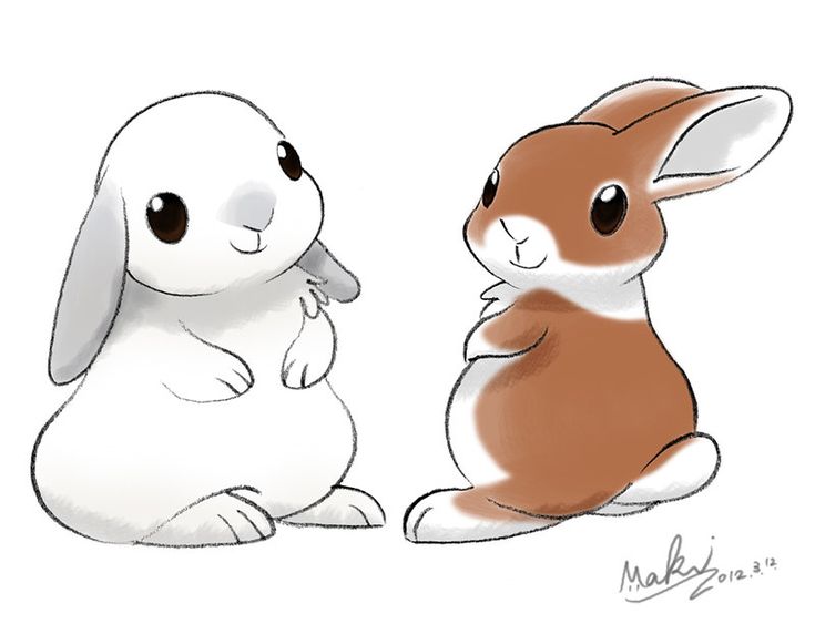 cartoon cute bunny