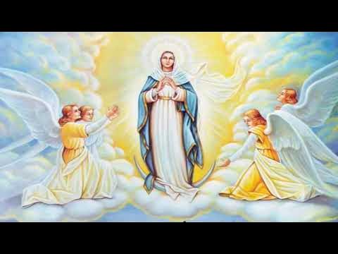 luminous mysteries youtube