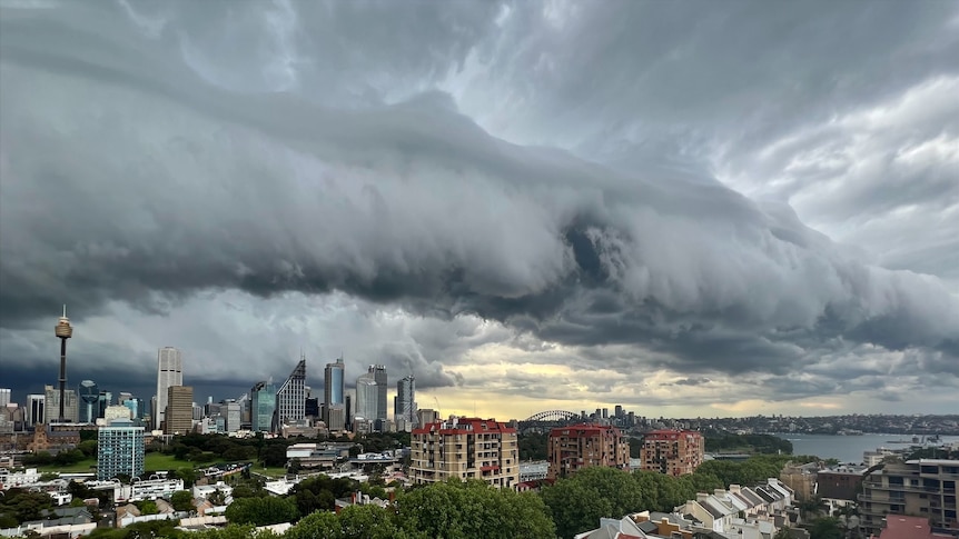 sydney past weather