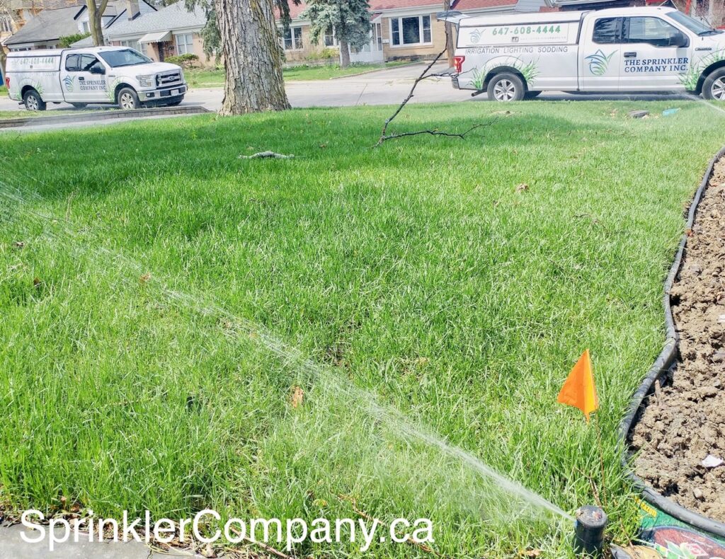 sprinkler repair near me