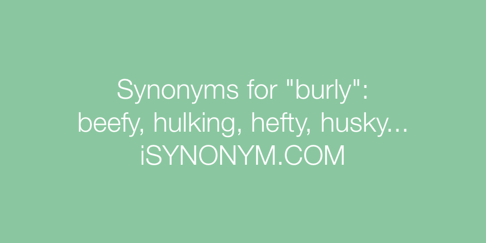 burly synonym