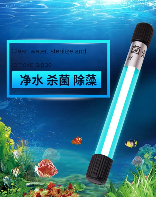 uv light sterilization fish tank