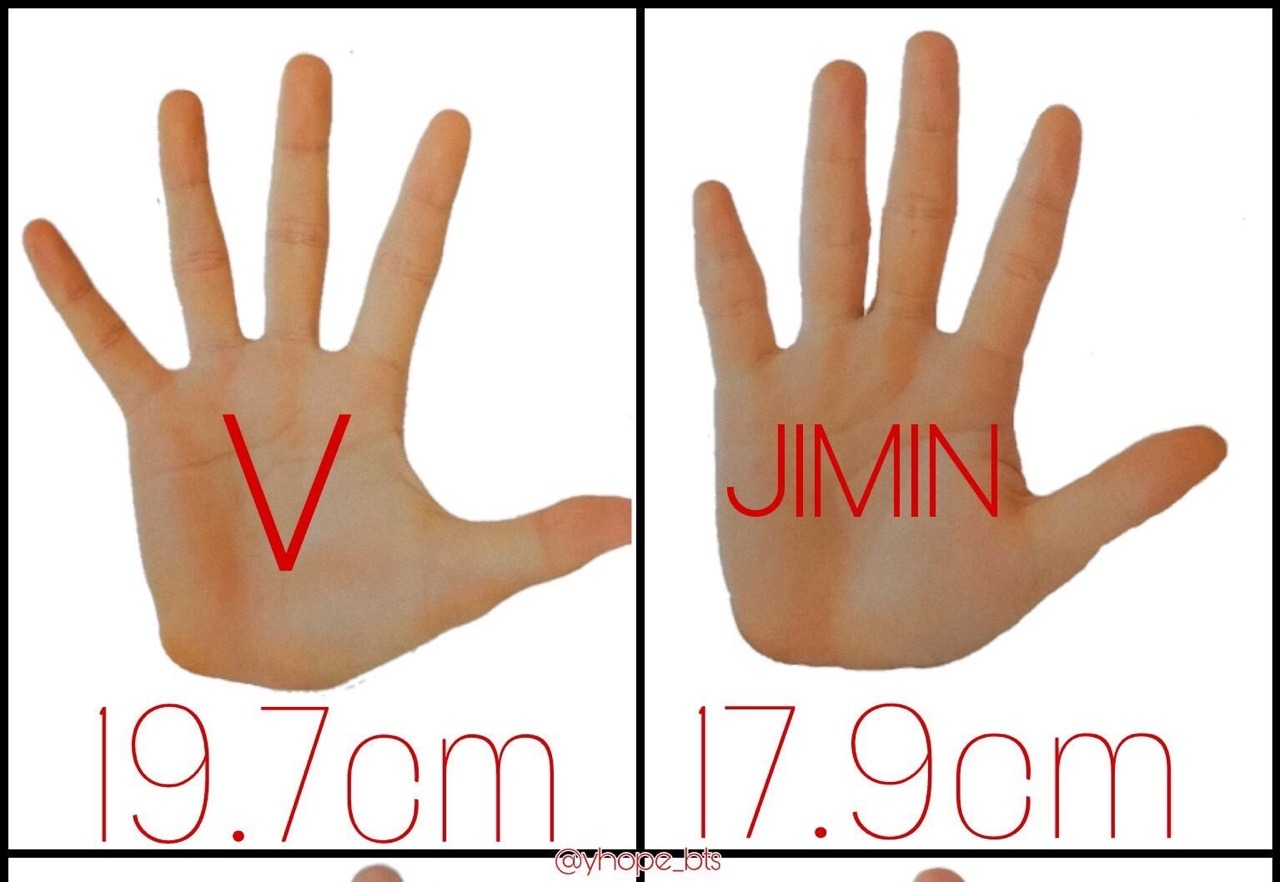 jimin hand size