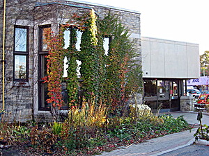 sunnyside library ottawa