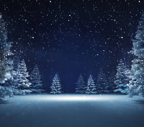 nighttime snow scene