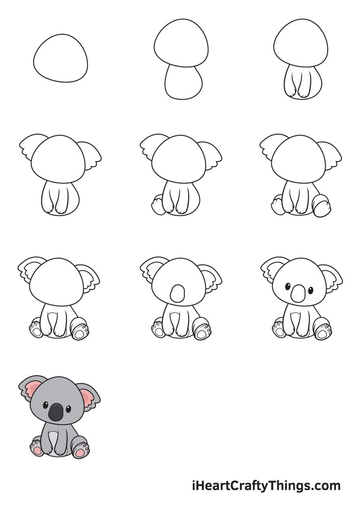 mammals drawing easy