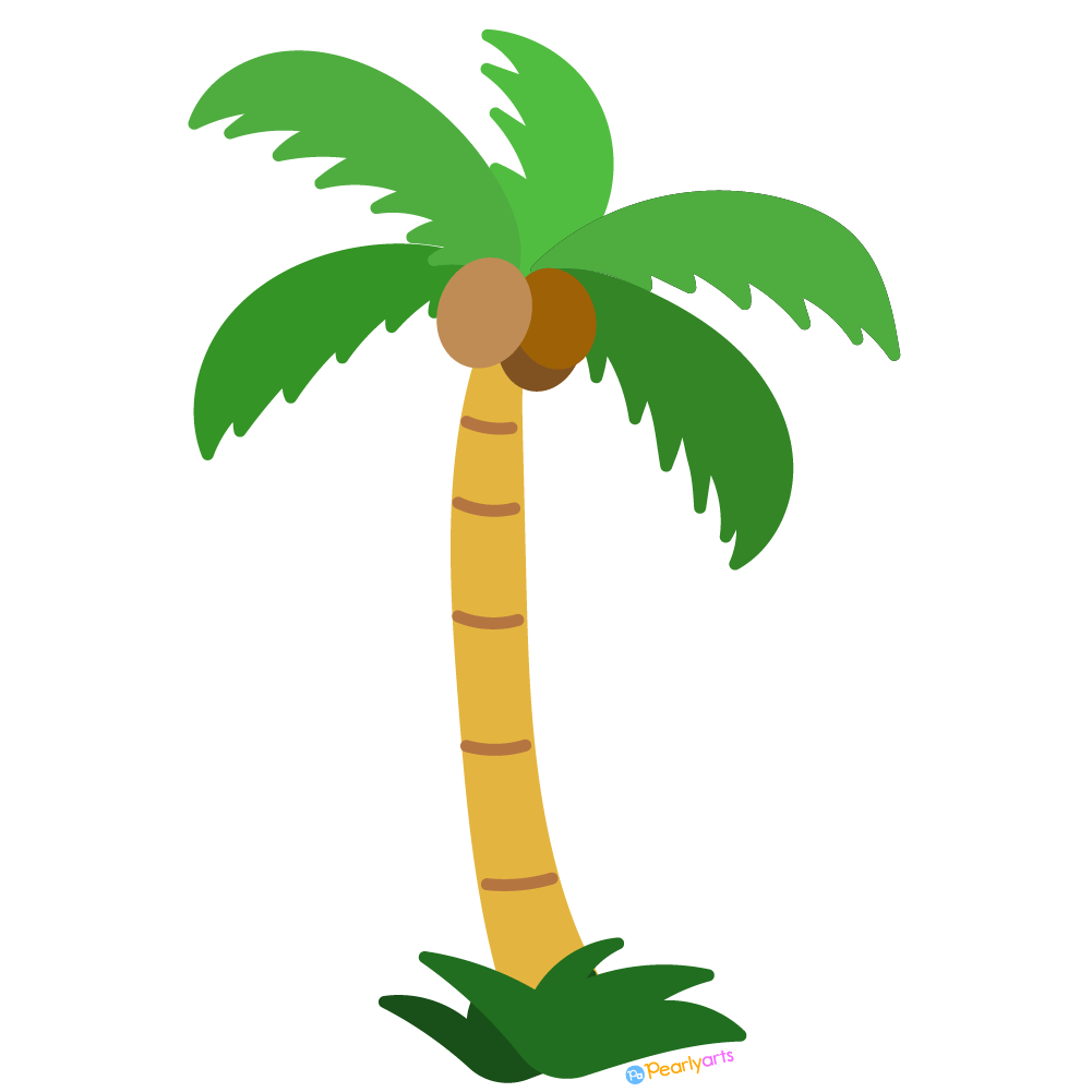 palm tree png clipart