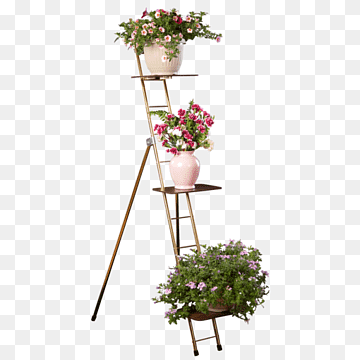 studio flower stand png