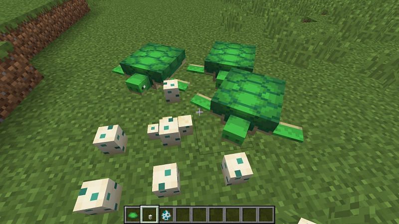 minecraft how long for turtle eggs to hatch