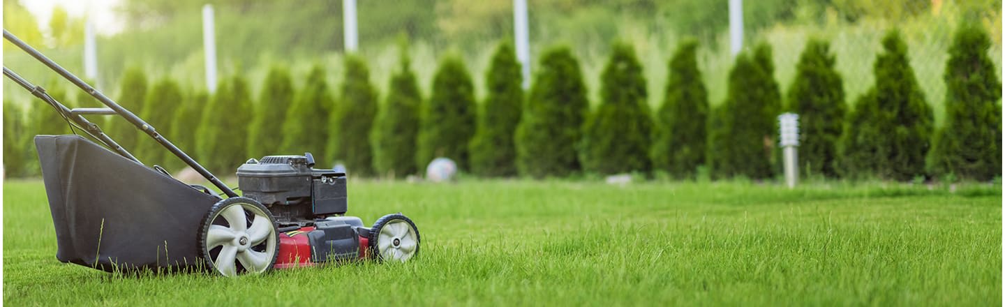 lawn service pics