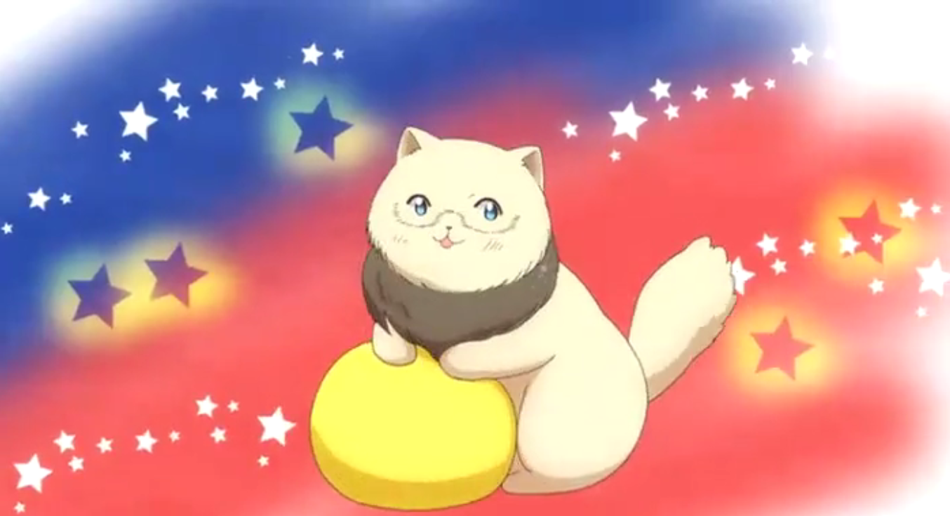 hetalia america cat