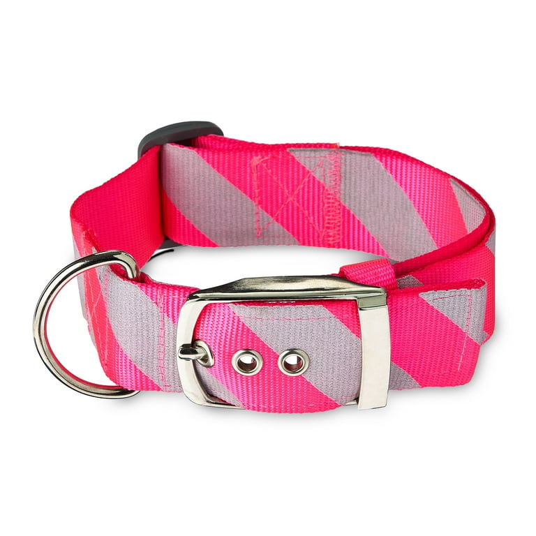 dog collars and leashes walmart