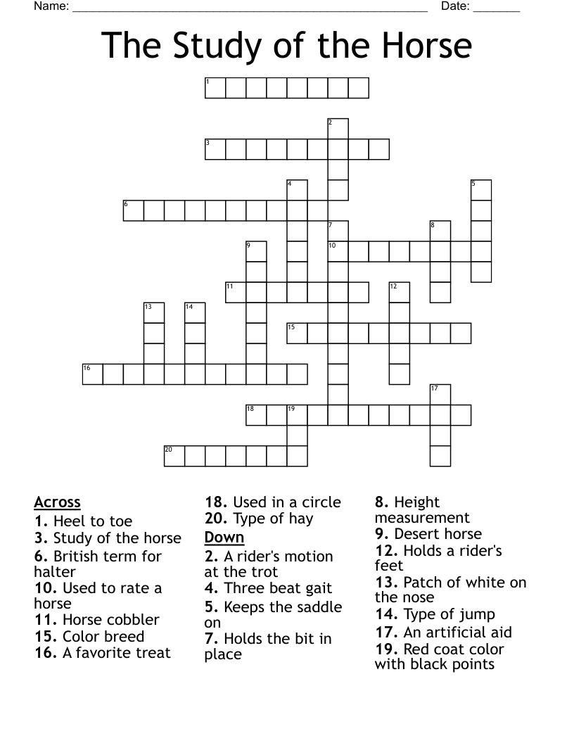 chestnut horse crossword