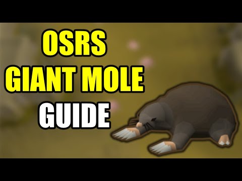 runescape giant mole location