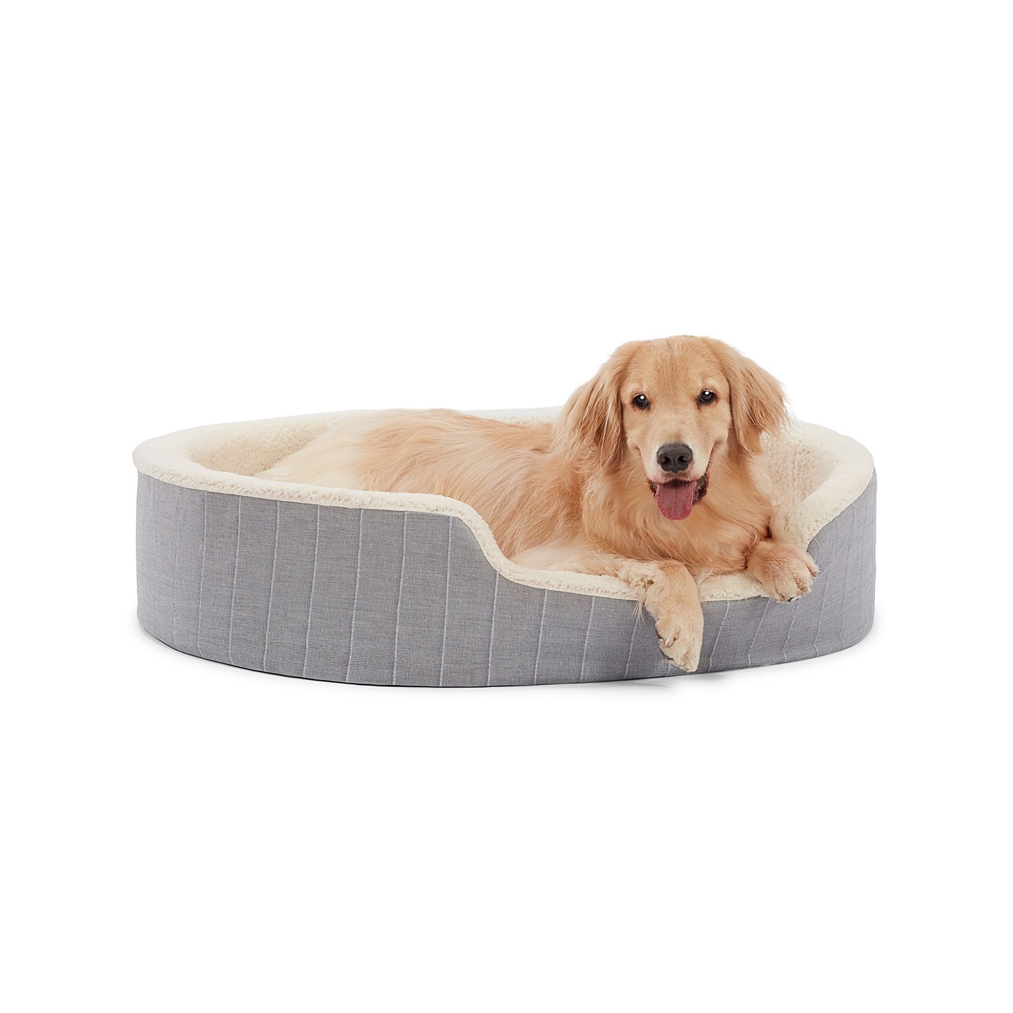 petsmart dog beds