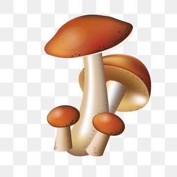 mushroom vector png