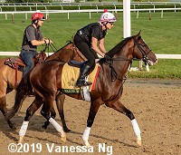 woodbine entries