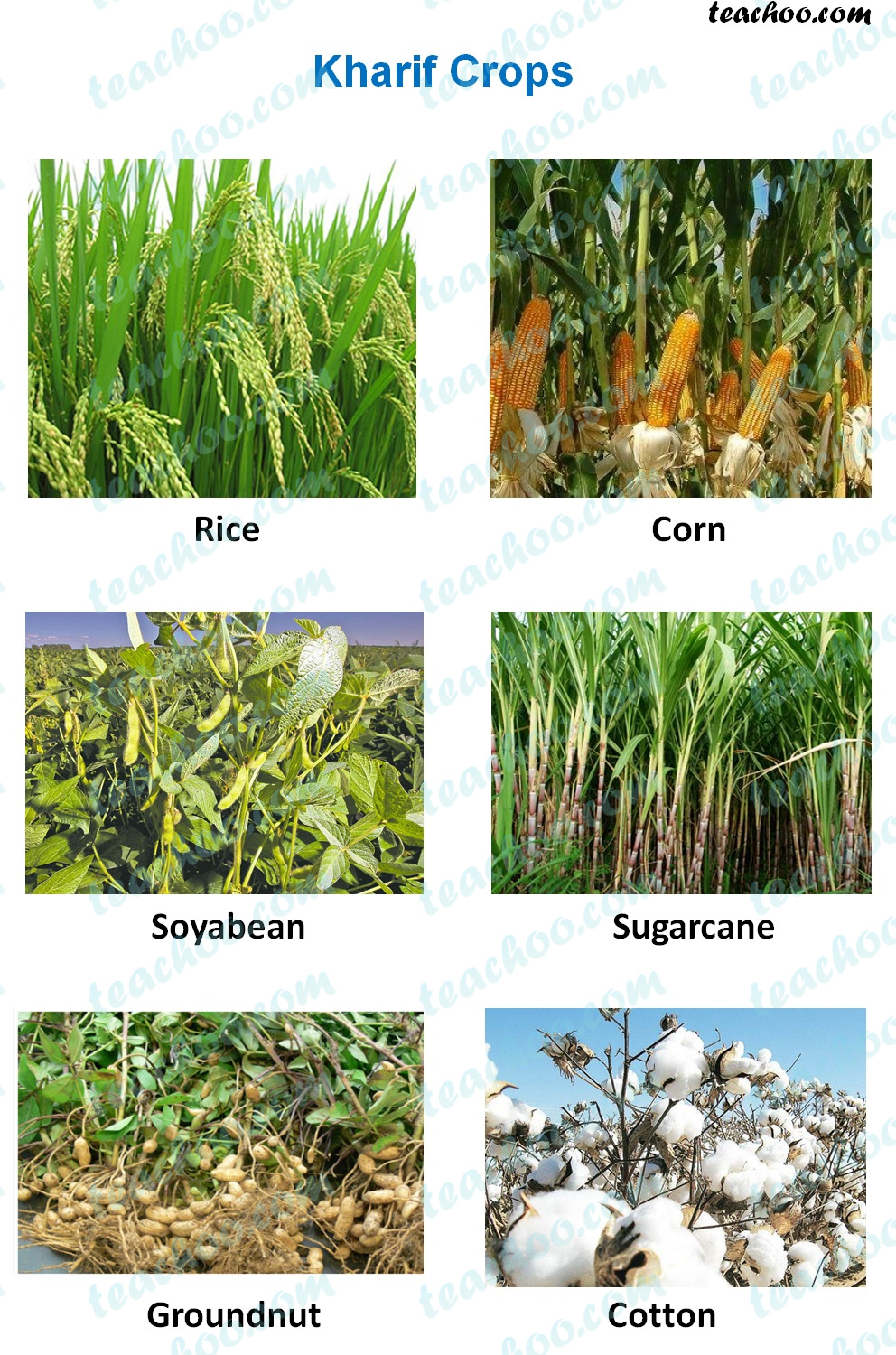 kharif meaning in marathi