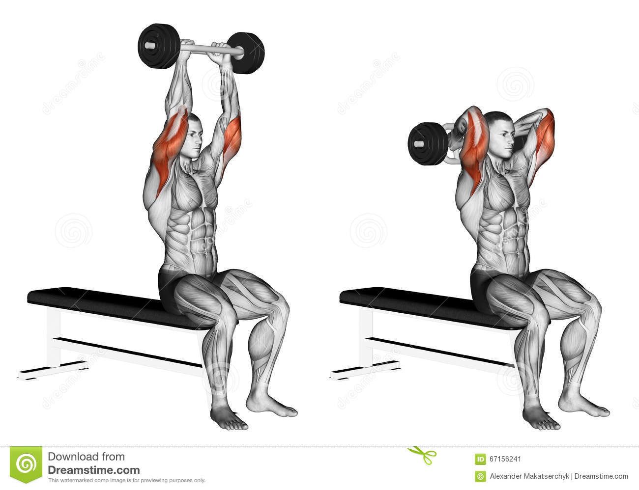 exercises with a tricep bar