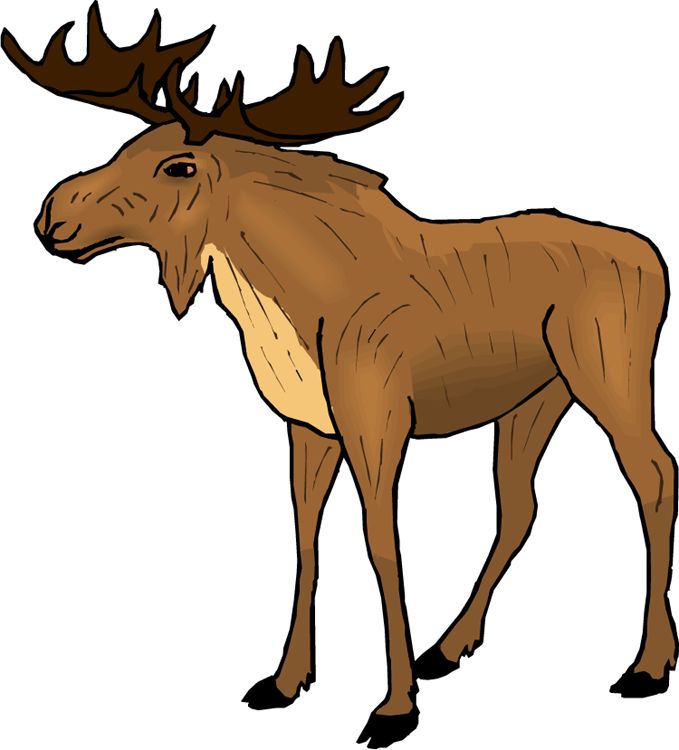clip art of moose