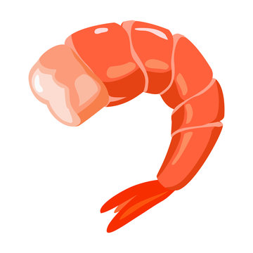 shrimp cartoon