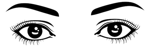 eyes and eyebrows clipart