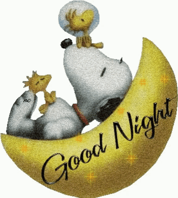 snoopy good night