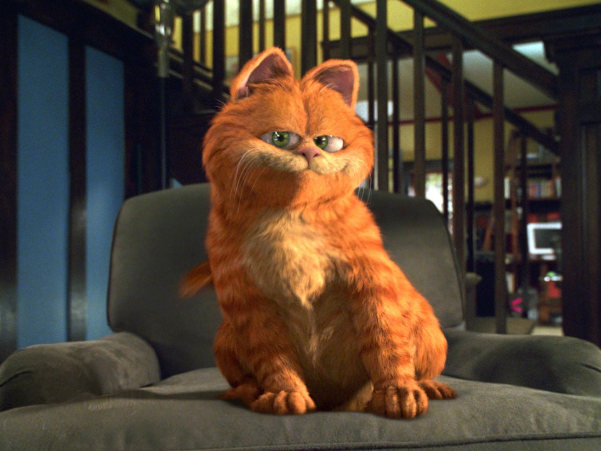 pictures of garfield the cat